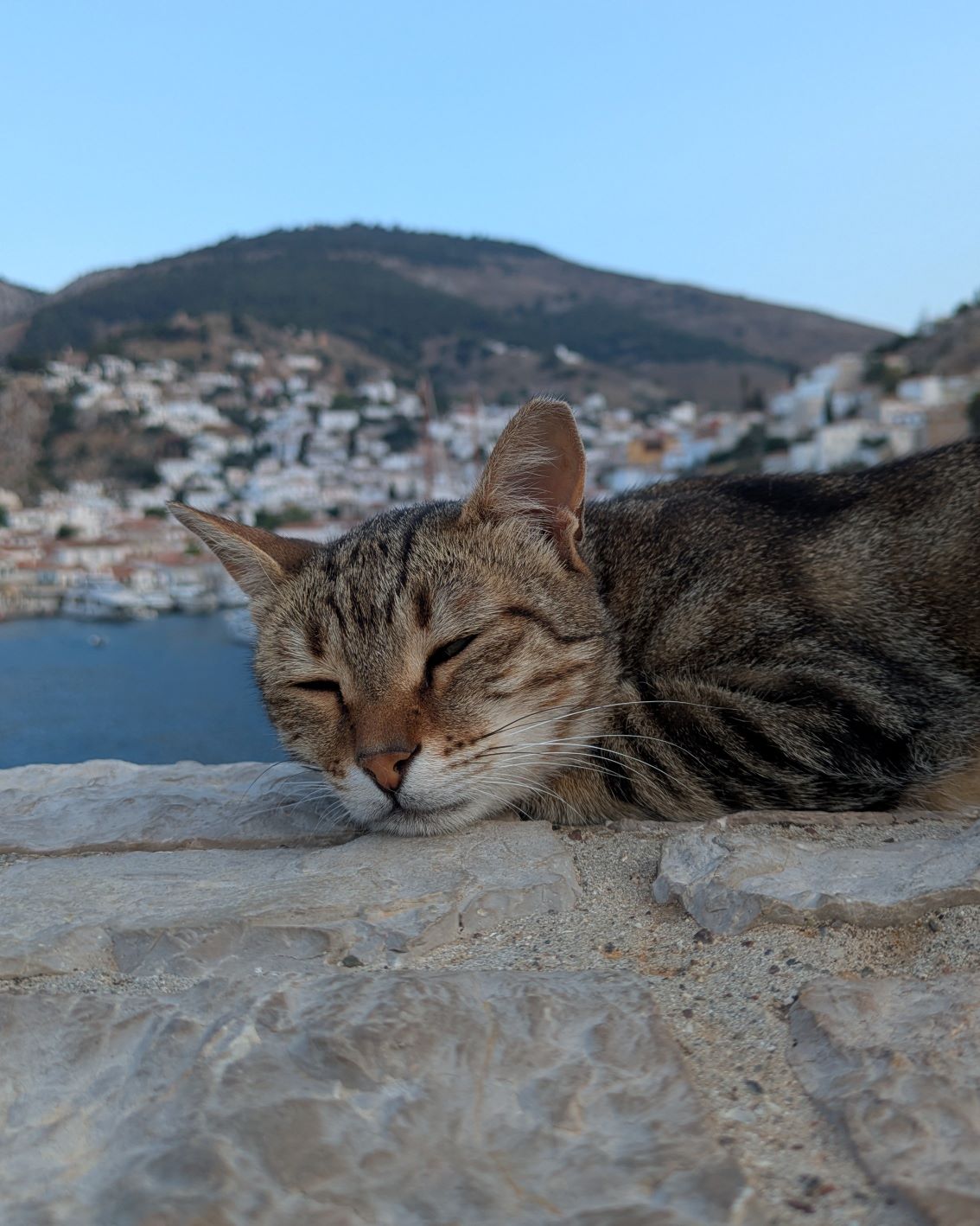Photo from Blues of Athens and Hydra, Greece