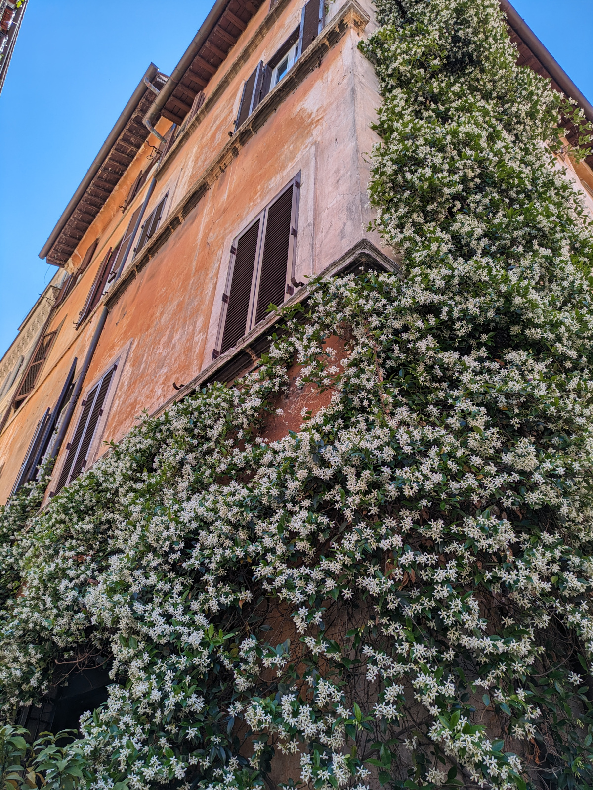 Photo from Pastel Colors of Rome, Italy