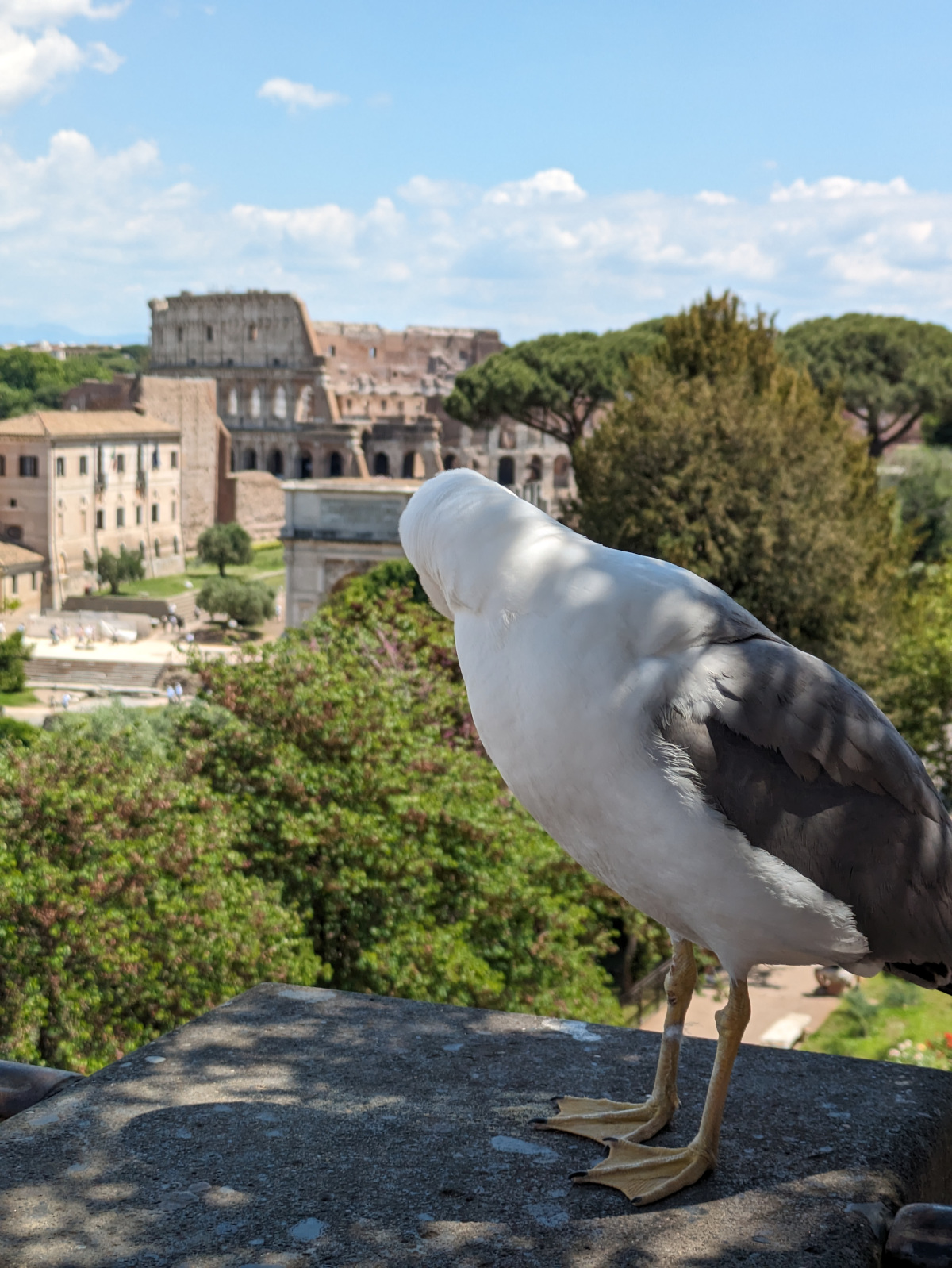 Photo from Pastel Colors of Rome, Italy