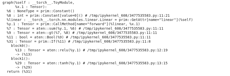 View of the scripted TorchScript graph.
